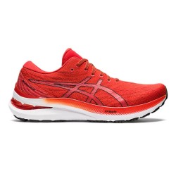 Gel Kayano 29 Man Asics
